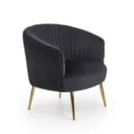 Fotelis CROWN Foteliai Svetainės baldai thumbnail