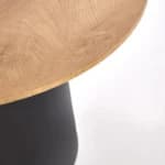 Žurnalinis staliukas MALOMI Svetainės baldai Žurnaliniai staliukai thumbnail